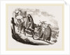 Mules by Anonymous