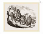Mules by Anonymous