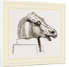 Horse's Head by Anonymous