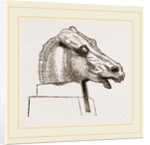 Horse's Head by Anonymous
