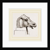 Horse's Head by Anonymous