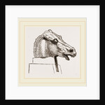 Horse's Head by Anonymous