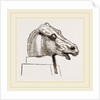 Horse's Head by Anonymous