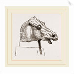 Horse's Head by Anonymous
