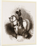 Arabian Horse by Anonymous