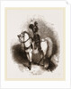 Arabian Horse by Anonymous