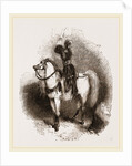Arabian Horse by Anonymous
