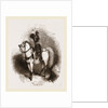 Arabian Horse by Anonymous