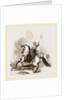 Turkish War Horse by Anonymous
