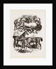 Group of Horses by Anonymous