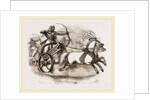Egyptian War-chariot by Anonymous