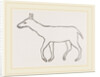 Anoplotherium by Anonymous