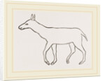 Anoplotherium by Anonymous