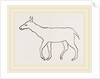 Anoplotherium by Anonymous