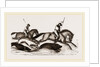 Boar-hunting in India by Anonymous