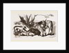 Boar Hunt by Anonymous