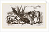 Boar Hunt by Anonymous