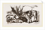 Boar Hunt by Anonymous