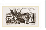 Boar Hunt by Anonymous