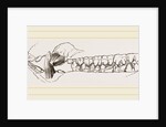 Teeth of the Hog by Anonymous