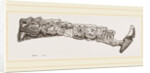 Molar teeth of upper jaw of Palaeotherium magnum by Anonymous