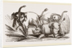 Elephant attacked by a Rhinoceros by Anonymous