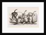 Elephant attacked by a Rhinoceros by Anonymous