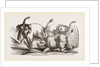 Elephant attacked by a Rhinoceros by Anonymous