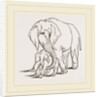 Female Elephant and her young one by Anonymous