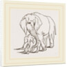 Female Elephant and her young one by Anonymous