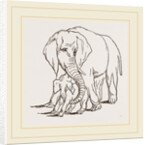 Female Elephant and her young one by Anonymous