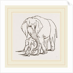 Female Elephant and her young one by Anonymous