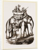 Hunters in a howdah by Anonymous
