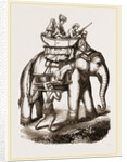 Hunters in a howdah by Anonymous