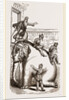 Scene exhibited at the Adelphi Theatre, Elephant by Anonymous