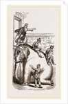 Scene exhibited at the Adelphi Theatre, Elephant by Anonymous