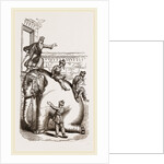 Scene exhibited at the Adelphi Theatre, Elephant by Anonymous