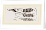 Teeth of Common Mouse by Anonymous