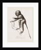 Banca Tarsier by Anonymous