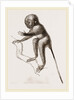Banca Tarsier by Anonymous