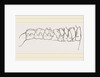 Teeth of Tarsiers by Anonymous