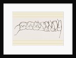 Teeth of Tarsiers by Anonymous