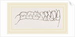 Teeth of Tarsiers by Anonymous