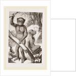 The Chimpanzee by Anonymous