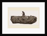 Portion of Lower Jaw Megalosaurus by Anonymous