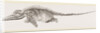 Ichthyosaurus by Anonymous
