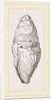Coprolite of lchthyosaurns by Anonymous