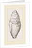 Coprolite of lchthyosaurns by Anonymous