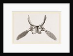 Sternal Arch and Anterior Paddles of Ichthyosaurus by Anonymous