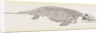 Ichthyosaurus by Anonymous